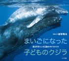 まいごになった子どものクジラ-南太平洋トンガ王国のザトウクジラ-