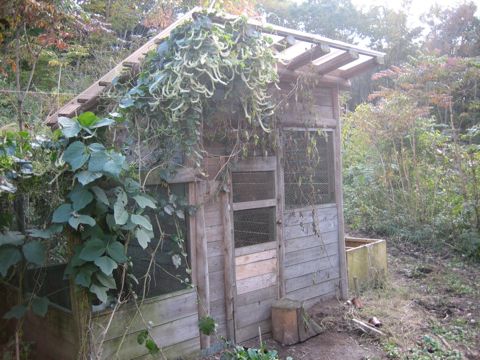 鳥小屋