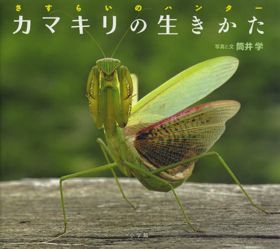 「さすらいのハンター　カマキリの生きかた」