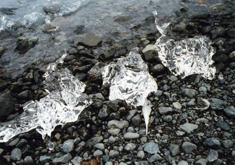 アラスカの宝石のような氷河