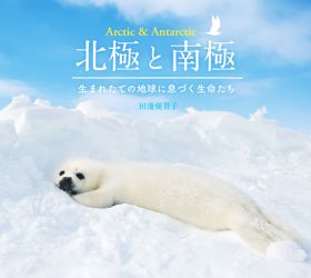 北極と南極―生まれたての地球に息づく生命たち