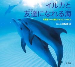 「イルカと友達になれる海～大西洋バハマ国のドルフィン・サイト～」