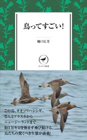 『鳥ってすごい！』